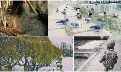 Четверг в Кирове: серость города, белка и куклы