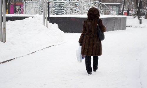 В Воркуте у кировчанина украли норковую шубу