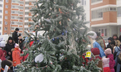 Во дворах Юго-западного района Кирова установят елки