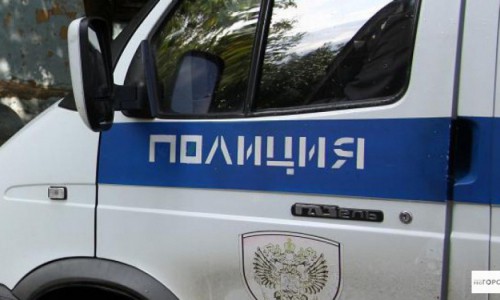 Кировчане стащили из авто 42 килограмма свинины