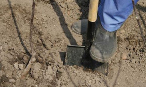 В Кировской области найдено тело пропавшего мужчины