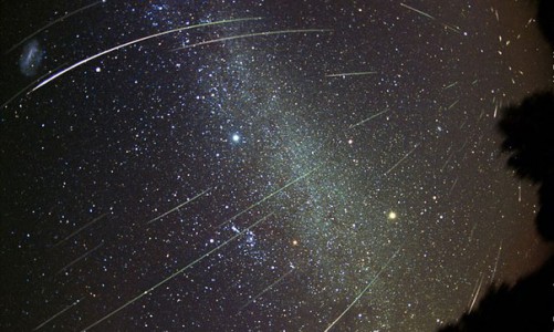 Ночью кировчане смогут увидеть один из красивейших звездопадов этого года