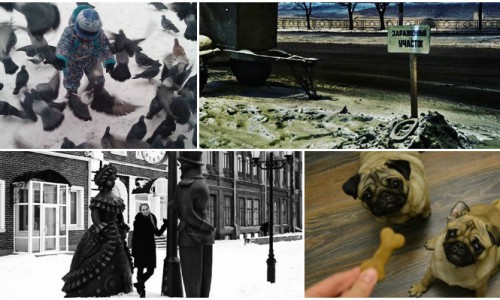 Выходные в Кирове: праздник живота у голубей и "зараженный участок" в центре города