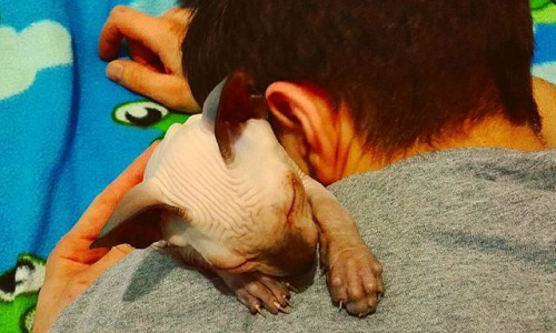 Вторник в Кирове: любви пост и немного шизофрении