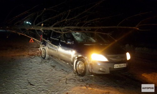 В Кирове во время движения на автомобиль упало дерево