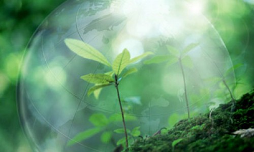 5 крупнейших компаний России решили сократить воздействия на окружающую среду