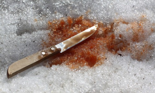 В Кировской области муж убил жену на глазах у ребенка и покончил с собой