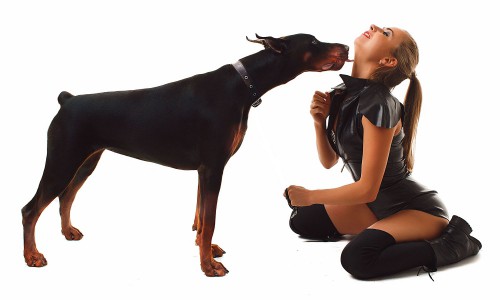 4 и 5 декабря "Провокационный вечер: BDSM ЕНОТ" в баре "DЕРZКИЙ ЕНОТ"