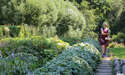 Ботанический сад в Кирове реконструируют