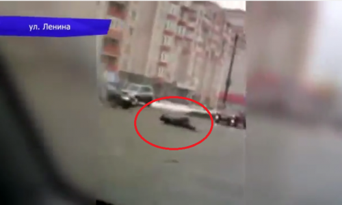 Видео: в Кирове неадекватный пешеход катился вдоль улицы Ленина
