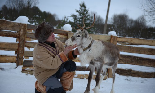 В Нижне-Ивкино живет олень Деда Мороза