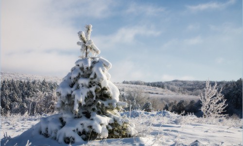 На неделе в Кирове ожидается резкое похолодание
