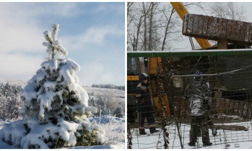 Что обсуждают в Кирове утром: падение бурильной установки и резкое похолодание