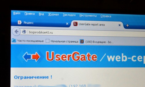 Глава администрации Богородского района запретил заходить на сайт Богородского района