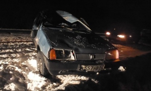 В Кировской области ВАЗ сбил выбежавшего на дорогу лося