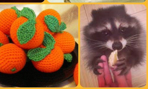 В эту пятницу и субботу вечеринка "Мандариновый енот" в баре "DЕРZКИЙ ЕНОТ"