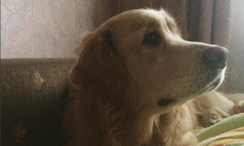 Пятница в Кирове: новогодний подарок и путешествия