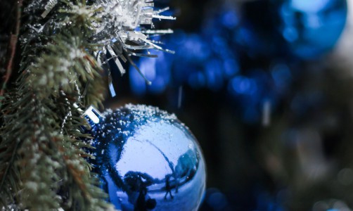 Кировчанин покусал владелицу магазина, чтобы украсть новогодние игрушки