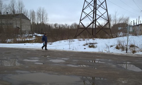 Кировчанка: «Около реки Люльченка на глазах детей мужчина оторвал голову утке»
