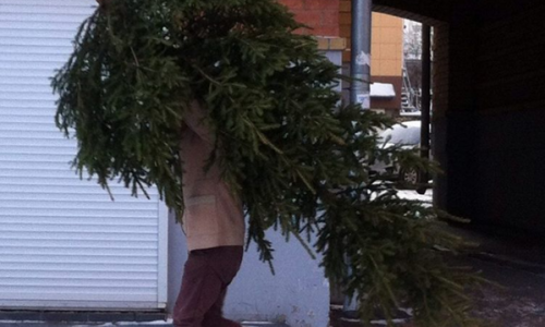 31 декабря в Кирове: чем живет город в последние часы уходящего 2015 года