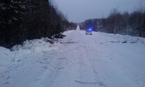 В Кировской области на трассе перевернулась Honda