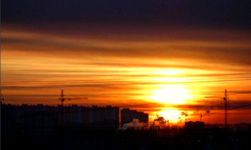 Вторник в Кирове: послания на остановке и сказочный лес