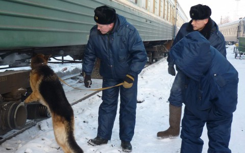 В Кировской области школьники положили камни на рельсы и разбили светофоры