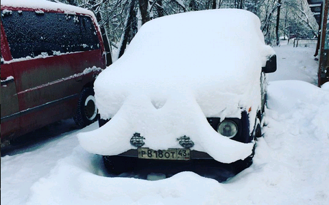 Среда в Кирове: утро с любимым мужчиной и усатая машина