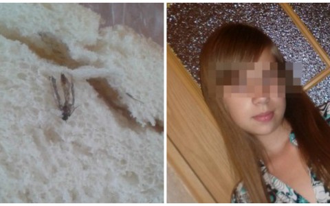 Что обсуждают в Кирове: комар в хлебе и результаты прокурорской проверки по драке в Котельниче