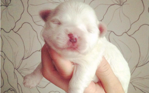 Четверг в Кирове: милый кроха и приближение весны