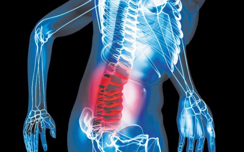 Спина может болеть из-за проблем желудочно-кишечного тракта
