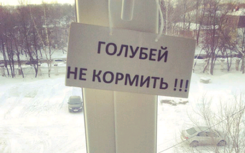 Четверг в Кирове: запрет и вечерний город