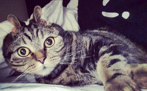 Пятница в Кирове: рыбалка и мой кролик