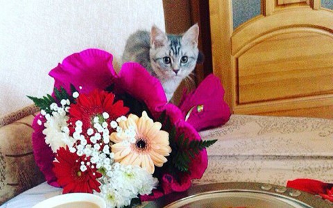 Воскресенье в Кирове: влюбленность в жизнь и мистический кот