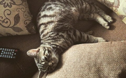 Понедельник в Кирове: подготовка ко дню рождения и выходной