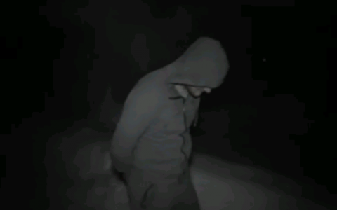 В Кирове задержали водителя, который скрывался от активистов и полицейских на кладбище