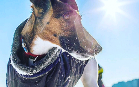 Среда в Кирове: счастье и город под снегом