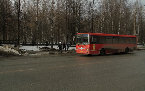 В Нововятске водитель автобуса № 46 бесплатно возил пассажиров