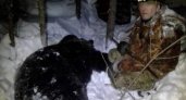 В Кировской области мужчину задержали за убийство медведя