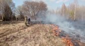 За сутки в Кировской области произошло два лесных пожара