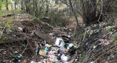 В Кирове у жилых домов течет мусорный ручей 
