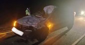 В Кировской области водитель насмерть сбил лося