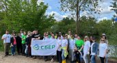 Сбербанк поддержал всероссийскую экологическую акцию  «Марафон зеленых дел»