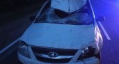 В Кировской области из-за сбитого лося пострадал подросток