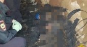В Кировской области обгоревший труп не могут опознать четыре года