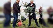 Более 4 тысяч га леса посадили волонтёры Волго-Вятского банка Сбербанка 