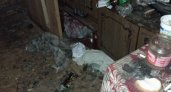 В Кирове житель квартиры на улице Монтажников устроил дома настоящую помойку