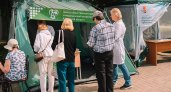 В Кирове взрослые и дети смогут бесплатно проверить здоровье