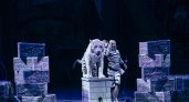 "Зебролошадь я еще не видела": кировчане поделились впечатлениями о новом цирковом шоу