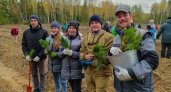 Сотрудники Segezha Group в Кирове посадили сосновую рощу в рамках акции "Сохраним лес"